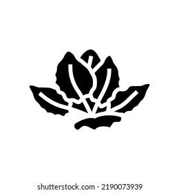 tiger lotus glyph icon vector. tiger lotus sign. isolated symbol illustration