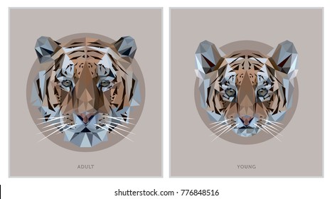 Tiger Low Poly Animals Illustration