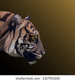 Diseño de polos bajos para tigres. Ilustración vectorial de triángulo.