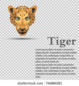 Tiger in low poly design for web