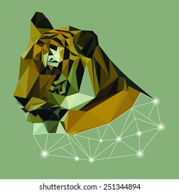 Tiger Low Poly Style.