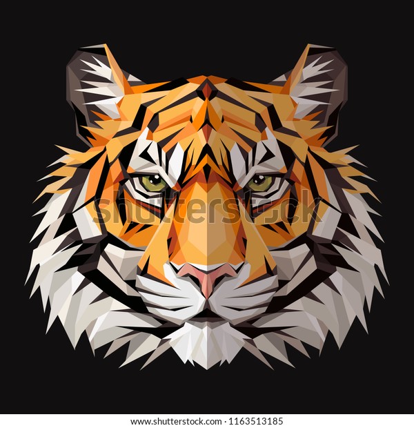 Tiger Low Poly Triangular Design Triangle Stock Vector Royalty Free