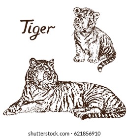 Tiger lying and Tiger cub, hand drawn doodle, sketch in pop art style, vector illustration