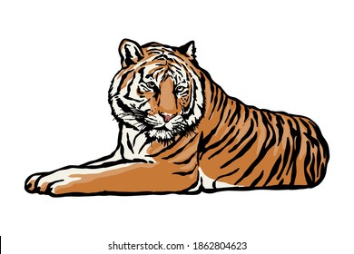 Tiger Lying Down Vector Illustration Hand Stock Vector (Royalty Free ...