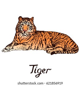 Tiger lying, hand drawn doodle color sketch in pop art style, vector illustration