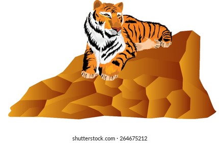 Tiger lying on stone