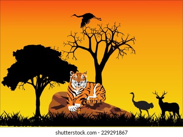 Tiger lying on stone and silhouettes of animals 