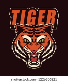 
tiger mascot with a dark background