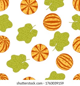 Tiger melon with leaf on white background. Hand drawn texture. Stock vector illustration.