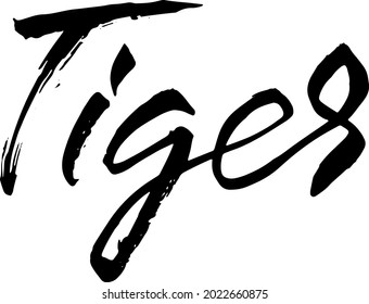 Tiger. Modern brush lettering. Vector illustration.