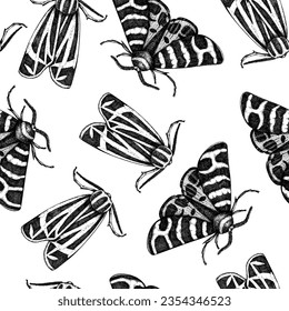 Tiger moth seamless pattern. Hand-drawn vector illustration. Butterfly sketch. Insect vintage background.