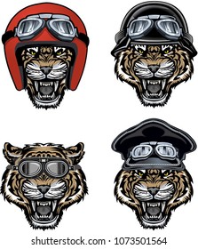 Tiger in motorcycle helmets