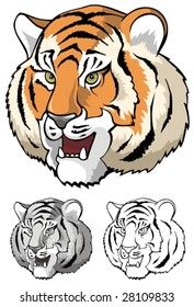 Tiger mug, growling, close-up, vector illustration