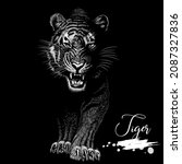 Tiger, nature conservation, animal vector illustration