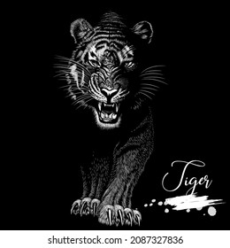 Tiger, nature conservation, animal vector illustration