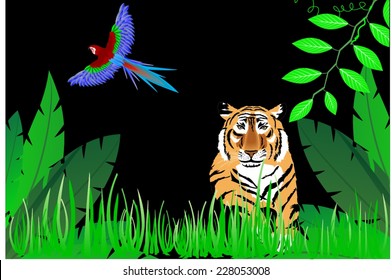 Tiger in night jungle and parrot