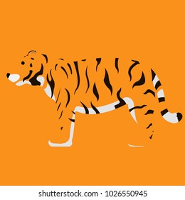 Tiger on the background. Vector illustration.