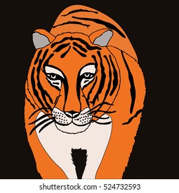 Tiger on a black background.