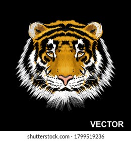 Tiger on black background vector illustration