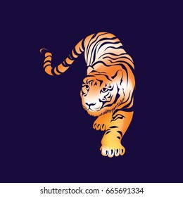 Tiger on dark blue background. Vector illustration. 