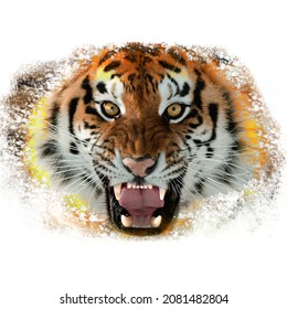 Tiger on fire symbol of the year