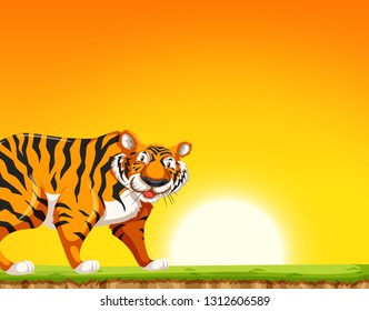 A tiger on sunset background illustration