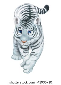 tiger on white background