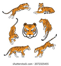 Tiger on white background Happy new year 2022 design vector illustration Tigers logotype