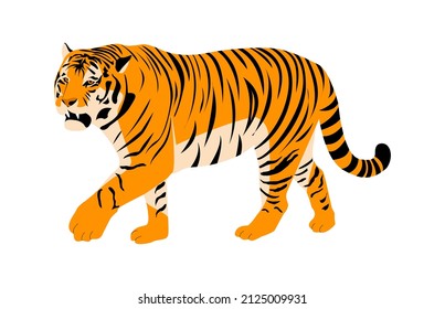 Tiger on a white background. Isolated. Vector flat illustration