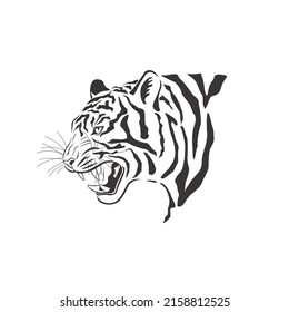 Tiger on white background. Vector Wild Animal. Safari.