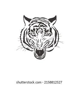 Tiger on white background. Vector Wild Animal. Safari.