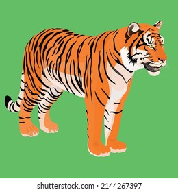 Tiger is one of the dangerous animals. Currently, tigers are almost extinct.