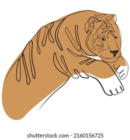 Tiger one line drawing on white isolated background