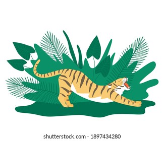 A tiger with an open mouth stretches after sleeping. Striped tiger in the tropical jungle against the backdrop of plants with grass and leaves. Wild animal in nature.  Flat vector illustration.