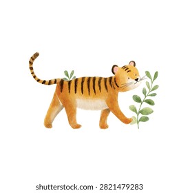Tiger with orange and black stripes