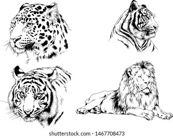 tiger and other wild cats drawn with ink from the hands of a predator tattoo logo