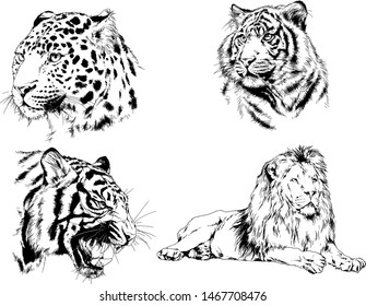 tiger and other wild cats drawn with ink from the hands of a predator tattoo logo