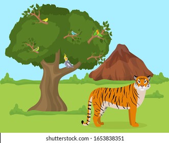 Tiger outdoors in nature habitat vector illustration. Wild animal tiger predator stands on grass in wooded area. Birds parrots sitting on tree. Mountain rocks in background.