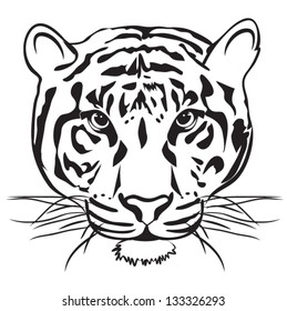 tiger outline vector