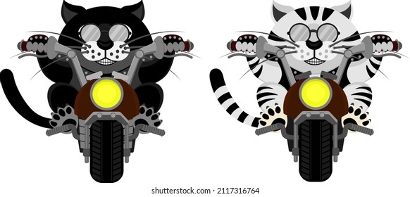 Bicicletas de tigre y pantera. Ilustración vectorial de un gato en una motocicleta.