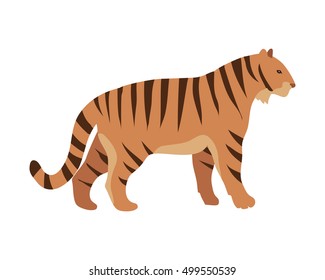 Tiger Panthera tigris cartoon isolated on white. Largest cat tiger species, most recognisable for pattern of dark vertical stripes reddish-orange fur with lighter underside. Sticker tiger for children