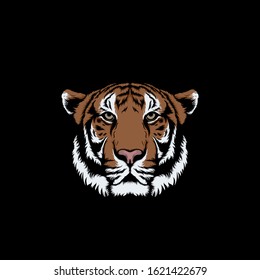 tiger (panthera tigris) illustration isolated on black background