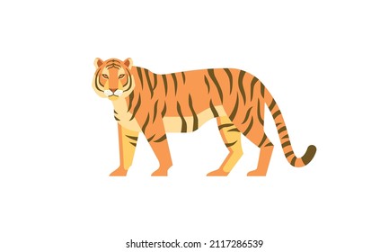 Tiger (Panthera tigris) side angle view. Asian wild animal with dark vertical stripes on orange fur, flat style vector illustration isolated on white background