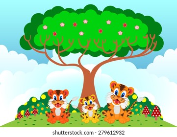 tiger at the park in sunny weather