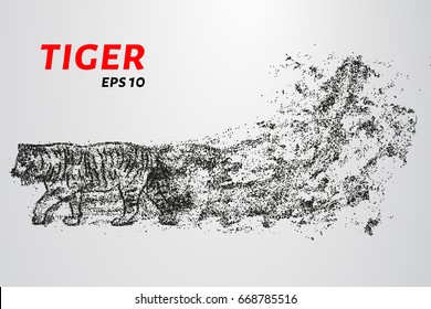 The tiger of particles. Tiger consists of circles and points. Vector illustration.
