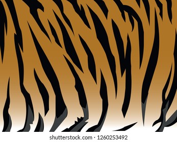 Tiger pattern vector