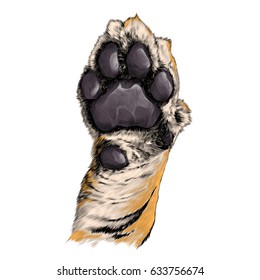 tiger paw pads sketch vector graphics color picture