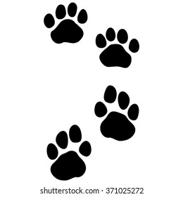 Tiger - Paw Print. Animal Footprint Front Feet / Hind Legs Isolated On White Background. Vector Illustration.