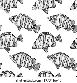 Tiger perch seamless pattern. Hand drawn vector fish. Sea, river or ocean fish. Design for fishing catch or fisher sport club. Fish market, menu seafood. Design template, banner