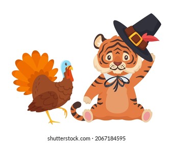 Tiger with pilgrim hat and turkey isolated on white background. Kawaii cartoon Thanksgiving character.